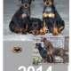 Zwergpinscher Jahreskalender 2014